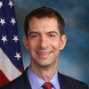 tomcotton